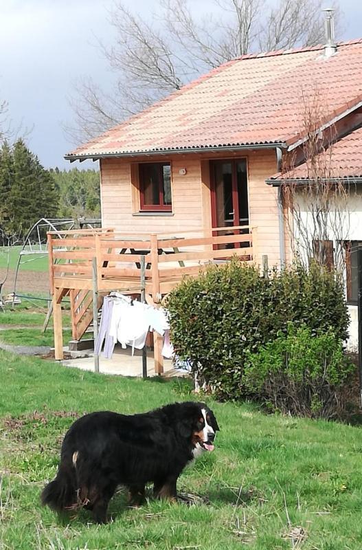 Gite La Ferme De Baffour La Chaise-Dieu Eksteriør bilde